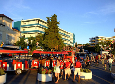 sightseeing tour Biograd