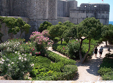 Castle of Dubrovnik