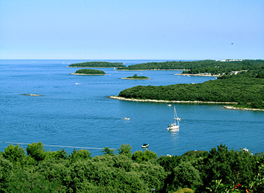 Coast of Vrsar